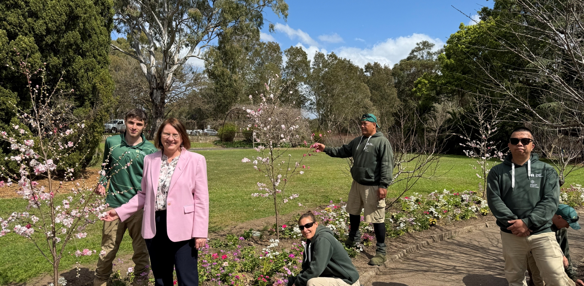 Celebrate Parramatta Park’s Wistaria Gardens in Bloom this September   Main Image